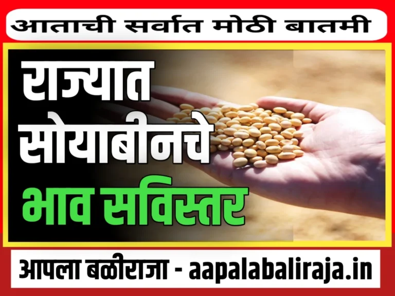 Soybean Rate Today : आजचे सोयाबीन भाव 30 ऑक्टोबर 2023