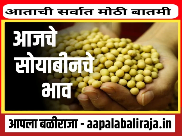 Soybean Rate : आजचे सोयाबीनचे भाव 29 ऑगस्ट 2023 महाराष्ट्र