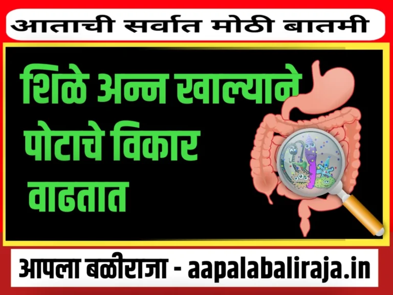 Health Tips : थंड अन्नाचं सेवन केल्याने शरीरासाठी घातक