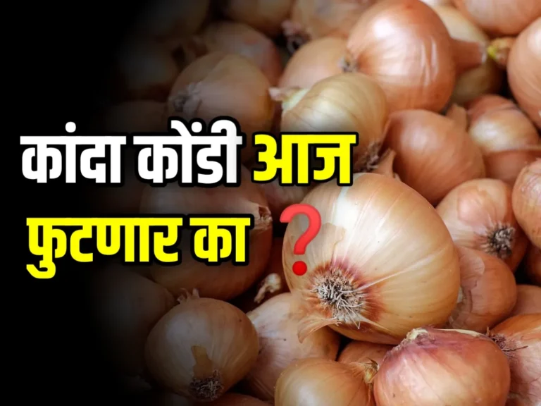 Onions News : कांदा कोंडी आज फुटणार का?