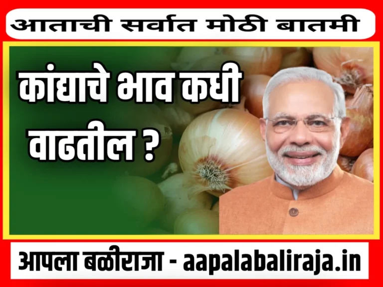 Onions Rate : कांद्याचे भाव कधी वाढतील ?