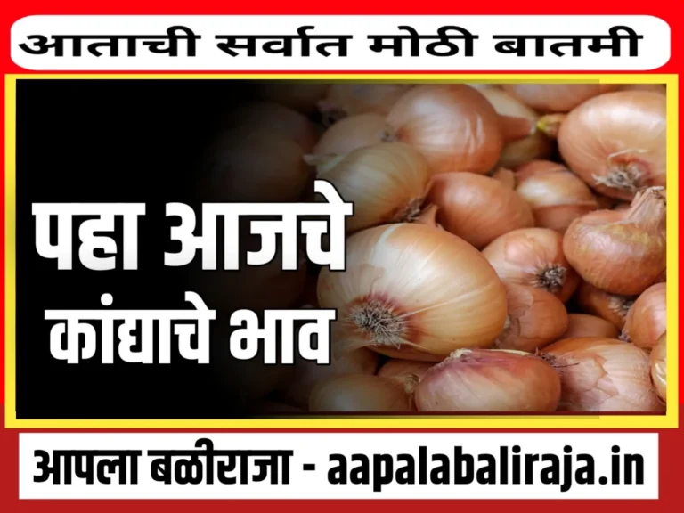 Onions Rate : आजचे कांद्याचे भाव 2 ऑगस्ट 2023 महाराष्ट्र