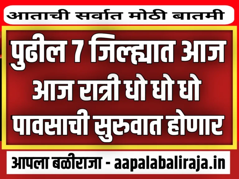 IMD : 7 जिल्ह्यात आज रात्री धो धो पाऊस पडणार