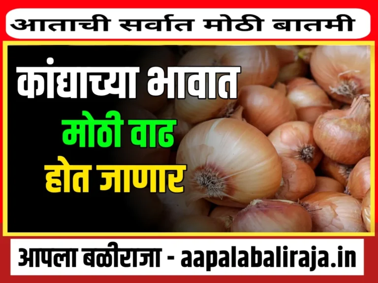 Onions Rate : कांद्याच्या भाव वाढणार का ?