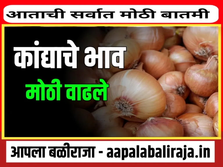 Onions Rate : आजचे कांद्याचे भाव 30 ऑक्टोबर 2023 महाराष्ट्र