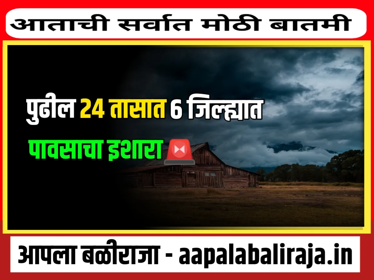 IMD : येत्या 24 तासात 6 जिल्ह्यात पाऊस पडणार