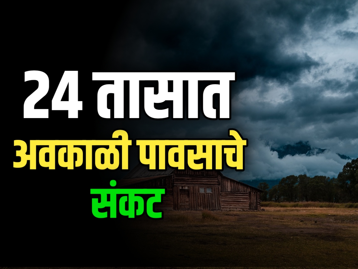 Weather : पुढील 24 तासात अनेक जिल्ह्यात पावसाचा इशारा