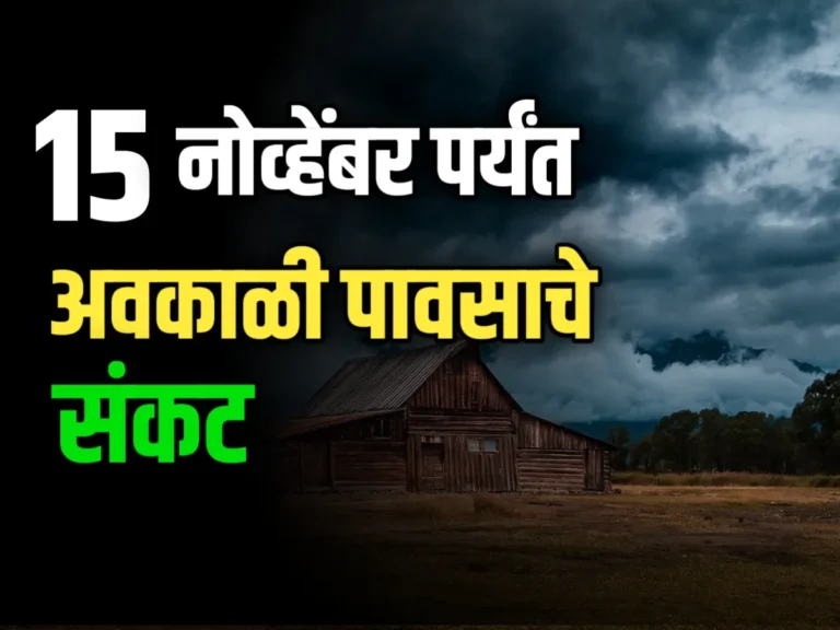 Indian Meteorological Department : आजचा हवामान अंदाज | 15 नोव्हेंबर पर्यंत कमी दाबाचा पट्टा तयार होणार