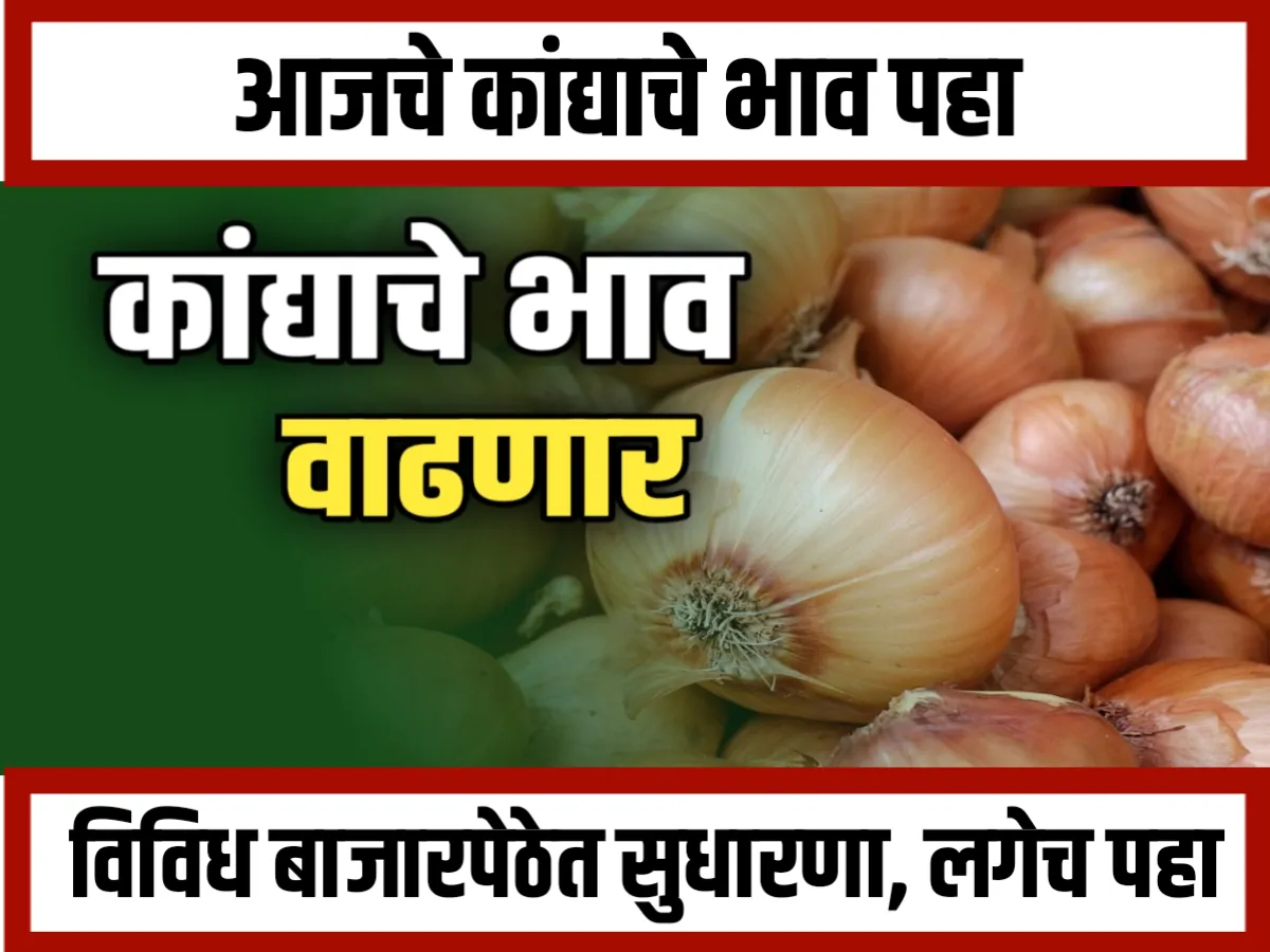 Onions Rate : आजचे कांद्याचे भाव 30 नोव्हेंबर 2023 महाराष्ट्र