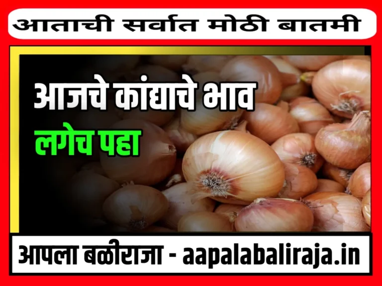 Onions Rate : आजचे कांद्याचे भाव 3 नोव्हेंबर 2023 महाराष्ट्र