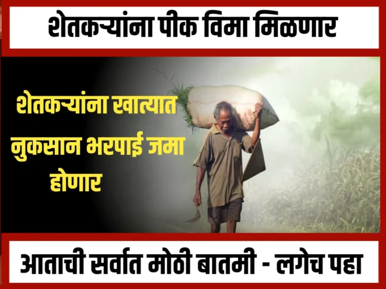 Crop Insurance : शेतकऱ्यांना पिक विमा मिळणार