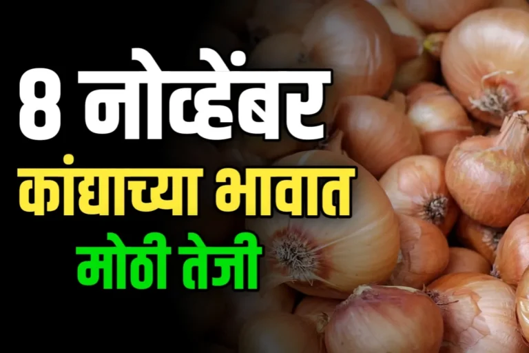 Onions Rate : आजचे कांद्याचे भाव 11 नोव्हेंबर 2023 महाराष्ट्र