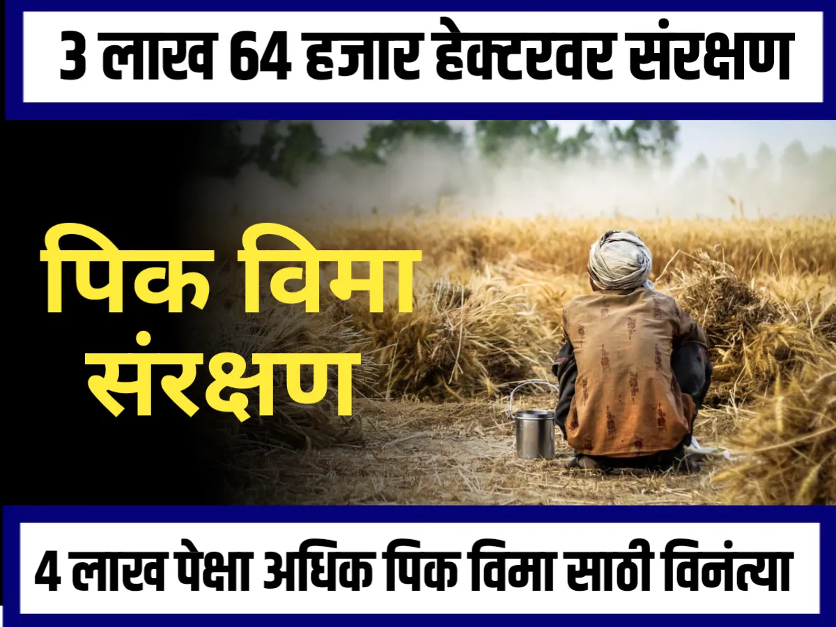 Crop Insurance : 3 लाख 64 हजार हेक्टर वर पिक विमा संरक्षण