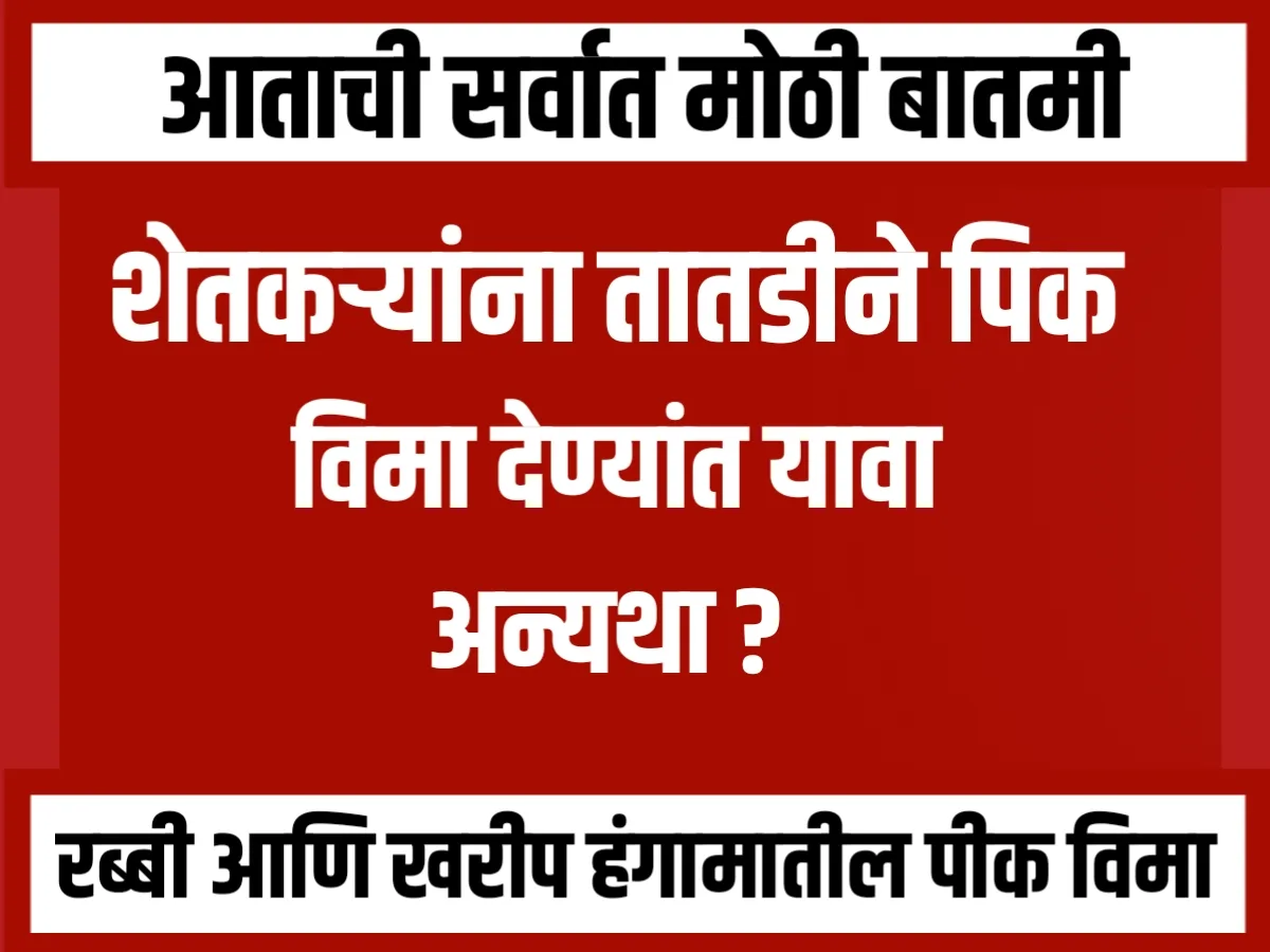 Crop Insurance : शेतकऱ्यांना तातडीने पिक विमा द्या