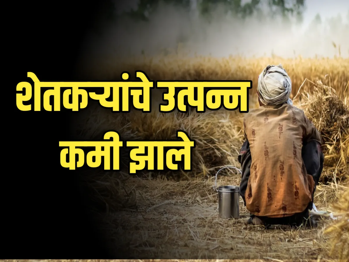 Farmer Income : शेतकऱ्यांचे उत्पन्न कमी | लगेच पहा