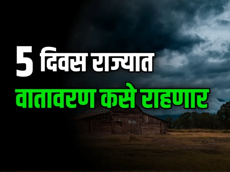 India Meteorological Department राज्यात 5 दिवसाचा हवामान अंदाज