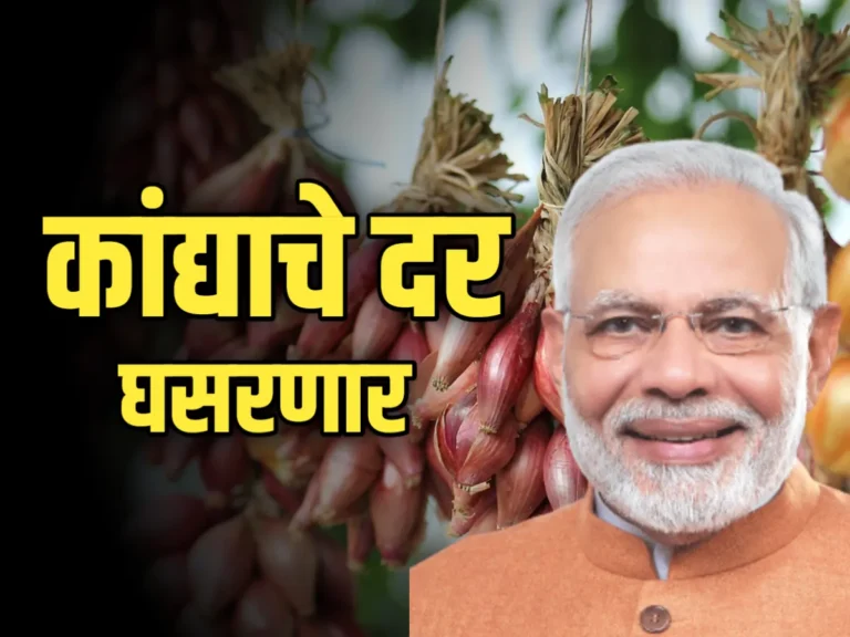 Onions Rate : कांद्याचे दर घसरणार | केंद्र सरकारचा चुकीचा निर्णय