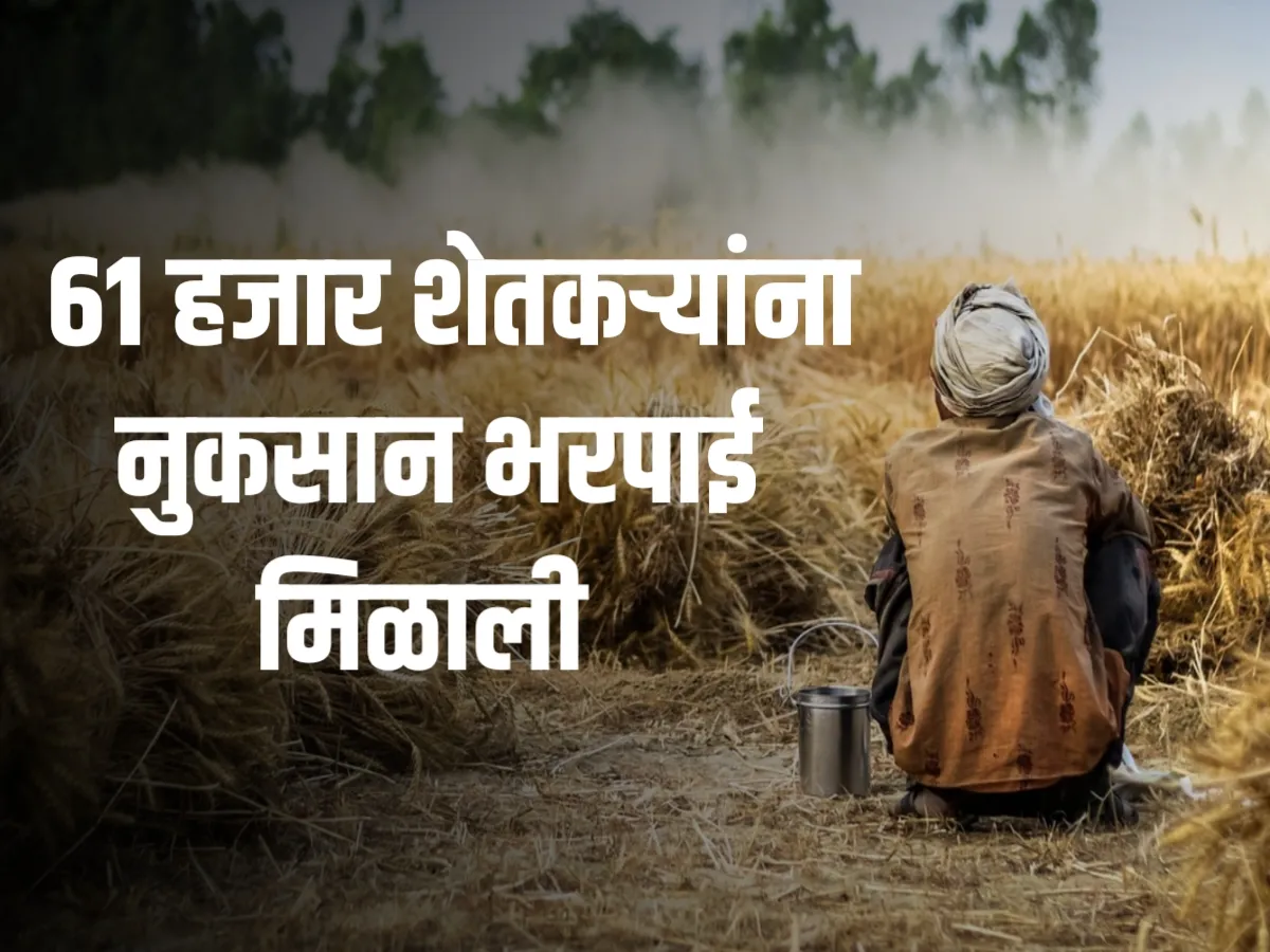 Crop Insurance : 61 हजार शेतकऱ्यांच्या खात्यावर अग्रिम पीकविमा जमा