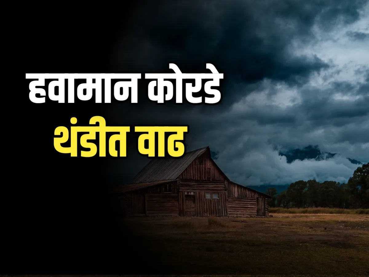 Weather Forecast हवामान कोरडे आणि थंड वाढ