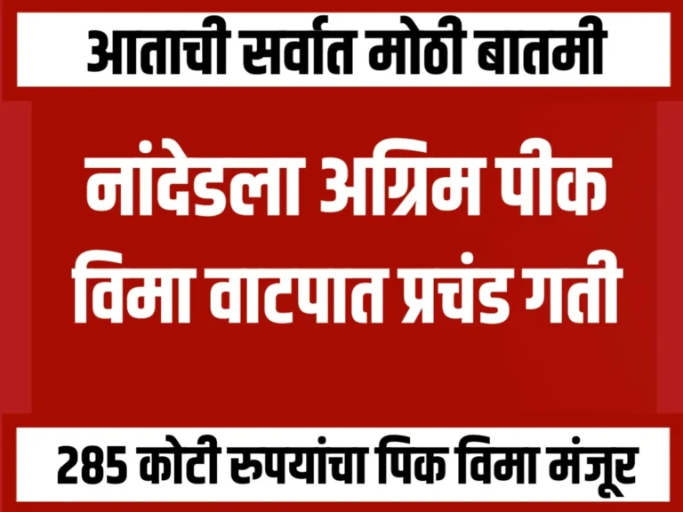 Advance Crop Insurance : नांदेडला अग्रिम पीक विमा वाटपात गती