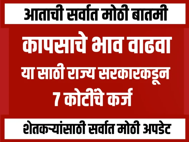 Cotton Rate : शेतकऱ्यांना कापसाला भाव देण्यासाठी राज्य सरकारकडून 7 कोटींचे कर्ज