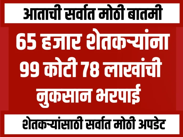 Crop Insurance : अवकाळी पावसामुळे नाशिक जिल्ह्यातील 65 हजार शेतकऱ्यांना नुकसान भरपाई