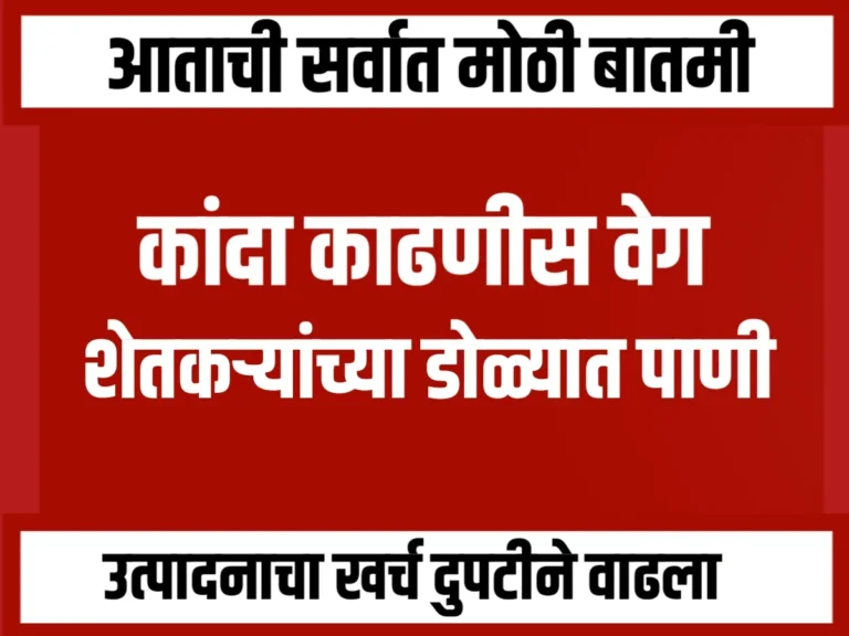 Onions Rate : कांदा काढणीला वेग, मात्र भावांकडे कांदा उत्पादकांचे डोळे पाणावले