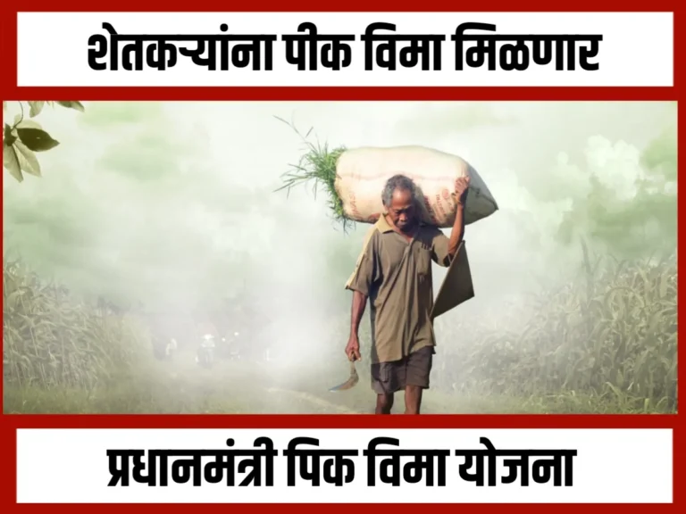 Crop Insurance खरीप हंगामातील नुकसानीची पीक विम्याची भरपाई त्वरित मिळवा!