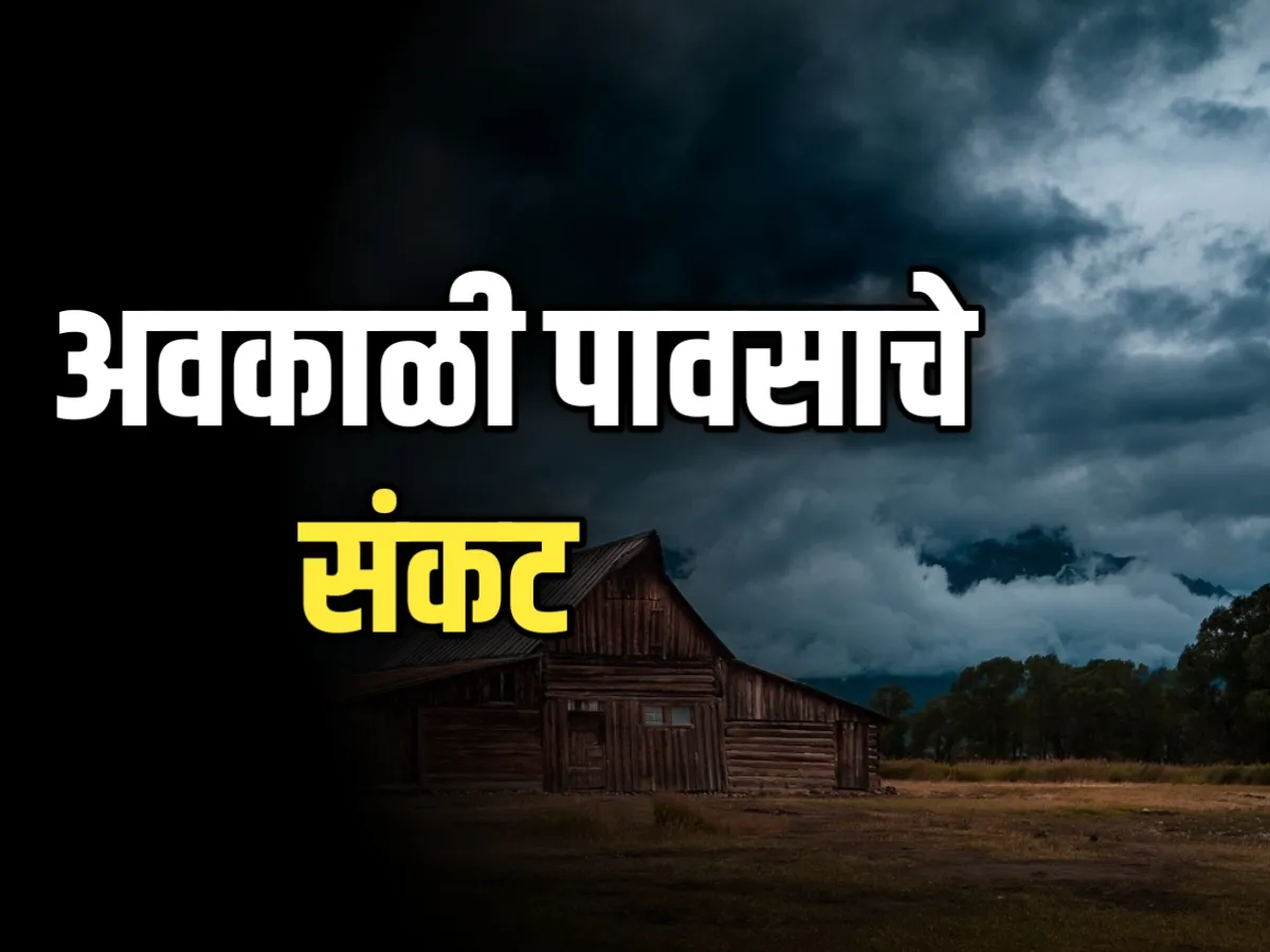 India Meteorological Department  महाराष्ट्रात पुढील 3 दिवस अवकाळी पाऊस!