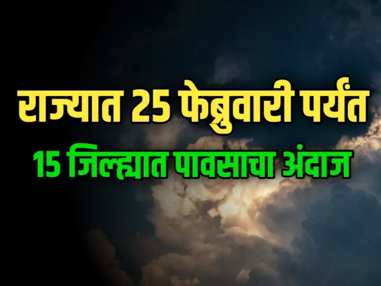 Maharashtra Rain : महाराष्ट्रातील 15 जिल्ह्यात पावसाचा अंदाज