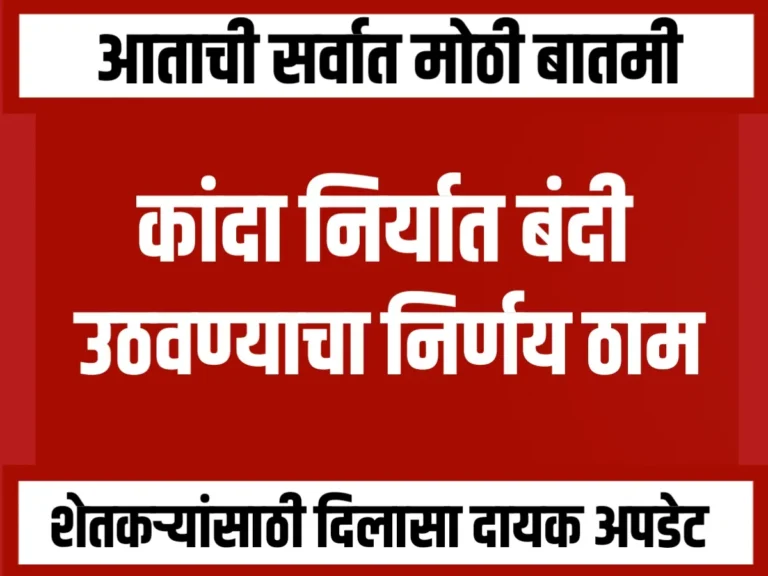 Onion Export Ban : कांदा निर्यात बंदी उठवण्याचा निर्णय