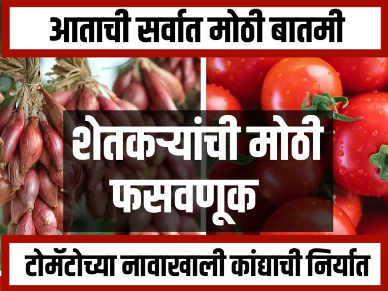 Onion Smuggling : टोमॅटोच्या नावाखाली कांद्याची निर्यात चालू