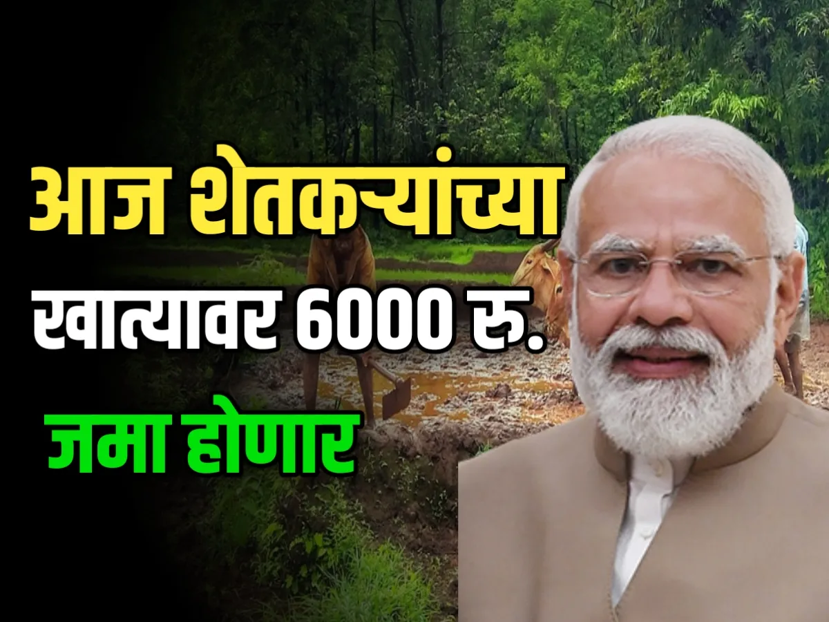 PM Kisan : सर्व शेतकऱ्यांच्या खात्यात 6000 हजार रुपये जमा होणार