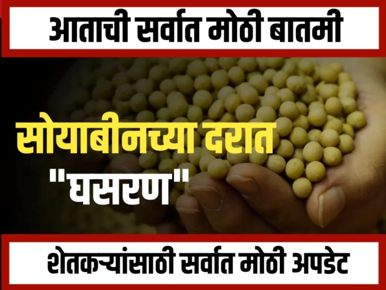 Soybean Rate : आंतरराष्ट्रीय आणि देशांतर्गत सोयाबीन बाजाराचा अंदाज: