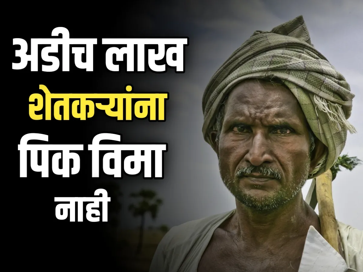 Crop Insurance : आधार क्रमांक बँक खात्याशी लिंक न केल्यामुळे अडीच लाख शेतकऱ्यांना विमा भरपाई मिळणार नाही!