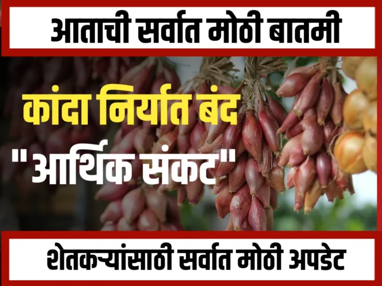 Onions Market : कांदा निर्यात बंदी | शेतकऱ्यांमध्ये आर्थिक संकट आणि संताप