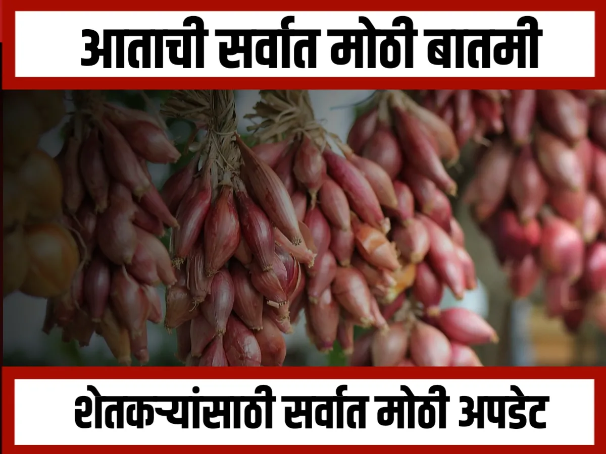 Onions Market : कांद्याचा आढावा घेण्यासाठी केंद्राची टीम पुन्हा राज्य दौऱ्यावर