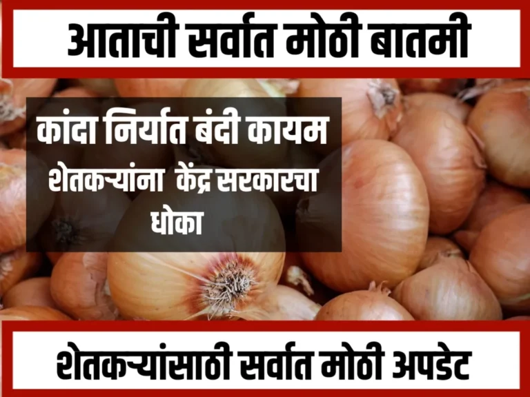 Onions Market : कांदा निर्यातीवर बंदी कायम आणि शेतकऱ्यांच्या संतापाचे कारण