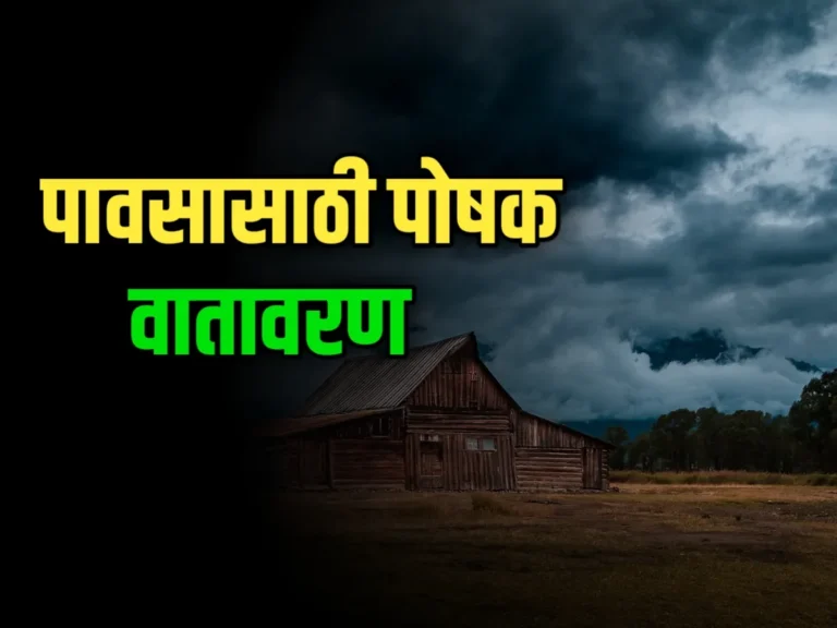 India Meteorological Department : विदर्भात पावसाला पोषक हवामान | उद्याचे हवामान अंदाज