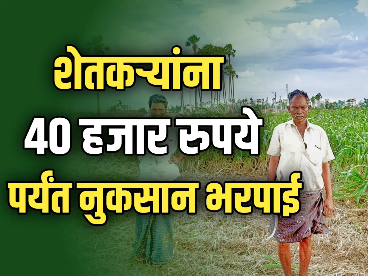 Agriculture Scheme : शेतकऱ्यांना 40 हजार रुपये नुकसान भरपाई ?