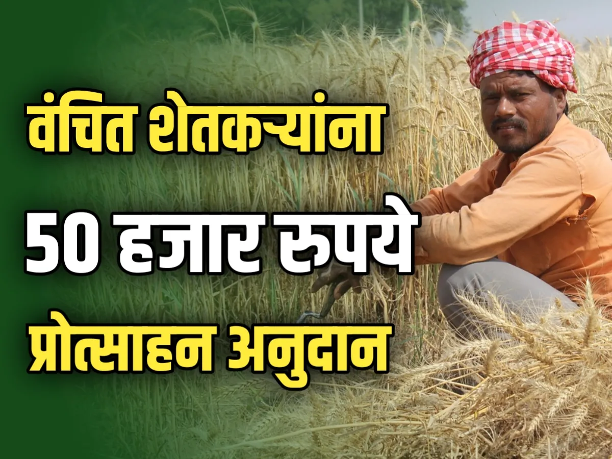 Farmers Subsidy : वंचित शेतकऱ्यांना मिळणार 50 हजार रुपये