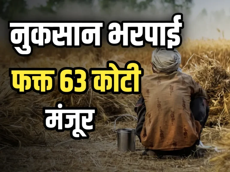 Crop Damage : हजारो कोटींचे नुकसान, नुकसानभरपाई फक्त 63 कोटी!