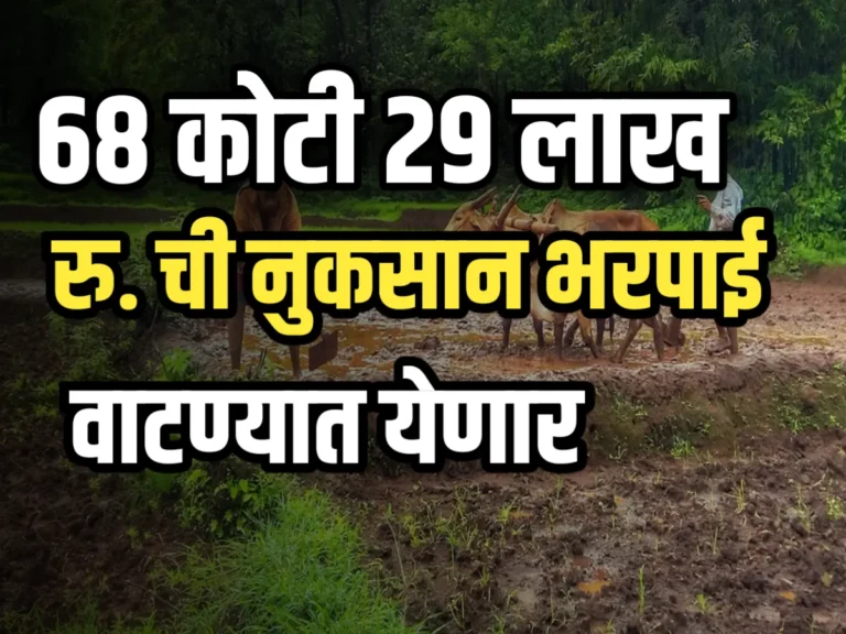 Crop Insurance : 68 कोटी 29 लाख रुपयांचे वाटप करण्यात येणार