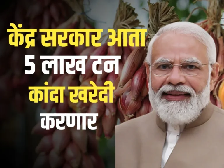 Onions Market : केंद्र सरकार आता शेतकऱ्यांचा कांदा खरेदी करणार ?