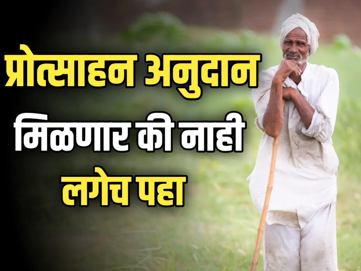 Farmers Subsidy : शेतकऱ्यांना प्रोत्साहनपर अनुदानाचे पैसे मिळतील की नाही?