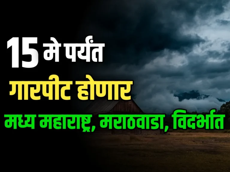 IMD : मध्य महाराष्ट्र, मराठवाडा आणि विदर्भात गारपीट आणि वादळाचा इशारा