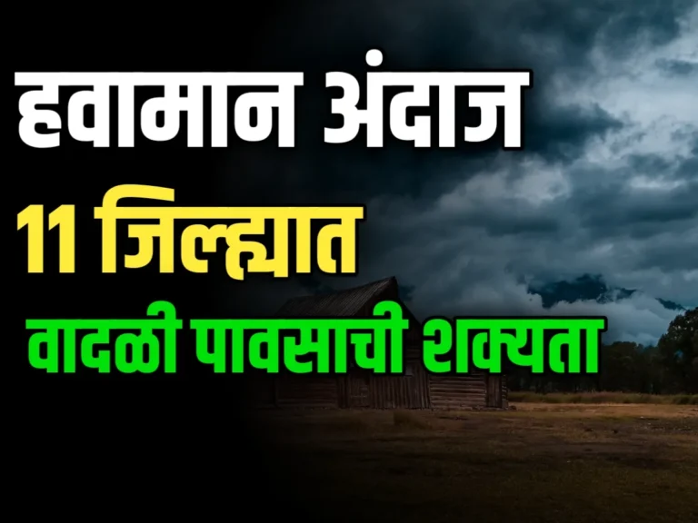 IMD: 11 जिल्ह्यांमध्ये वादळी वाऱ्याची शक्यता