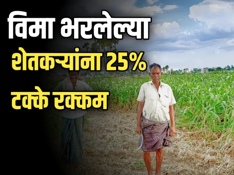 Crop Insurance : विमा भरलेल्या शेतकऱ्यांना फक्त 25% अग्रीम रक्कम; नुकसानी भरपाईसाठी शेतकऱ्यांचा संताप