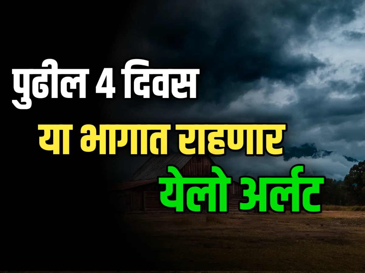 Monsoon Rain : पुढील 4 दिवस कोकण आणि विदर्भात ठिकठिकाणी पावसाचा येलो अलर्ट