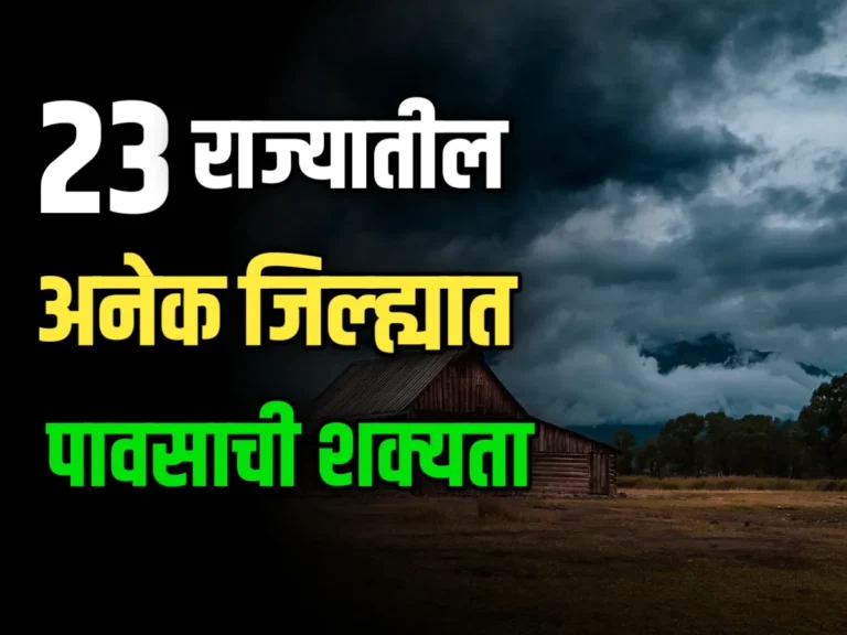 Weather Update : राज्याच्या अनेक जिल्ह्यांत हलक्या पावसाची शक्यता